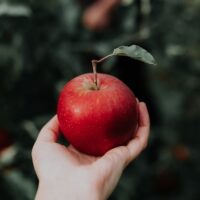 Hand holding red apple with stem and leave attached